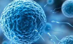 在广州做试管婴儿大概多少钱一次？